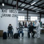 Inside ‘Rat Ground Zero’— 30 Travelers Now Missing Worldwide…
