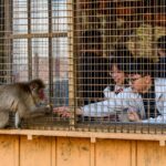 International Vacation NIGHTMARE Begins After Arrests in Japan…