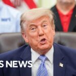 AI Lockdown Orders Rattle Pentagon Trump postpones AI cybersecurity executive order