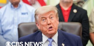 Trump postpones AI cybersecurity executive order